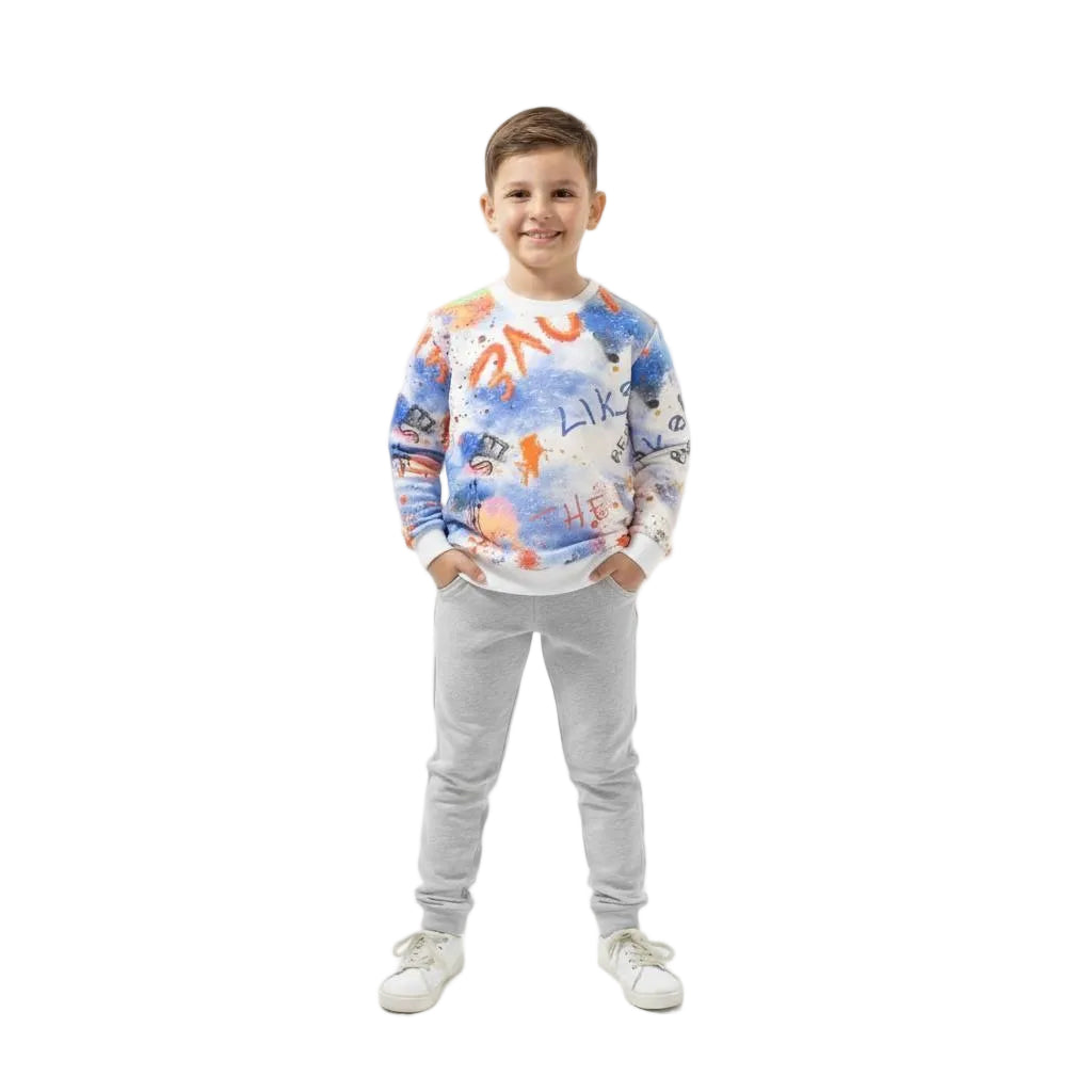 Boys Printed Sweatshirt – Multicolor