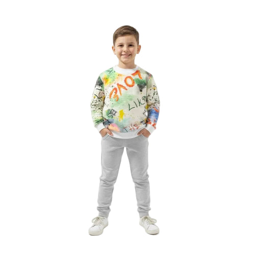 Boys Printed Sweatshirt – Multicolor